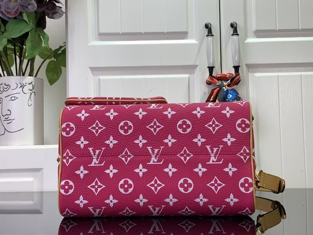 LV Speedy P9 Bandouli¨¨re 25 M11563-1 - Image 5