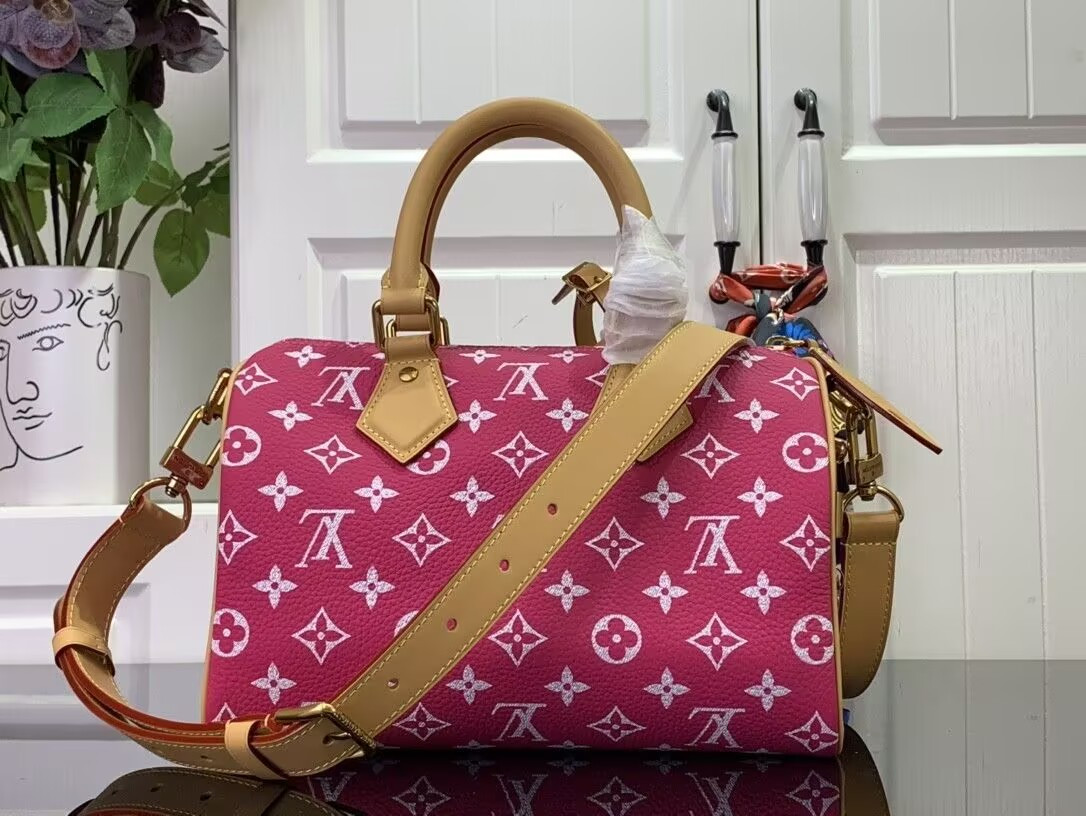 LV Speedy P9 Bandouli¨¨re 25 M11563-1 - Image 4