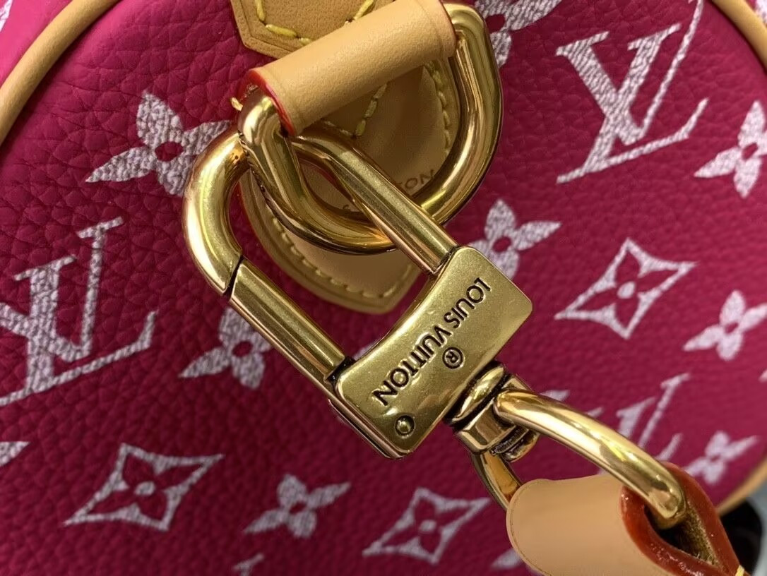 LV Speedy P9 Bandouli¨¨re 25 M11563-1 - Image 8