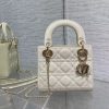 Dior  Classic Lady 17¡Á7¡Á15cm