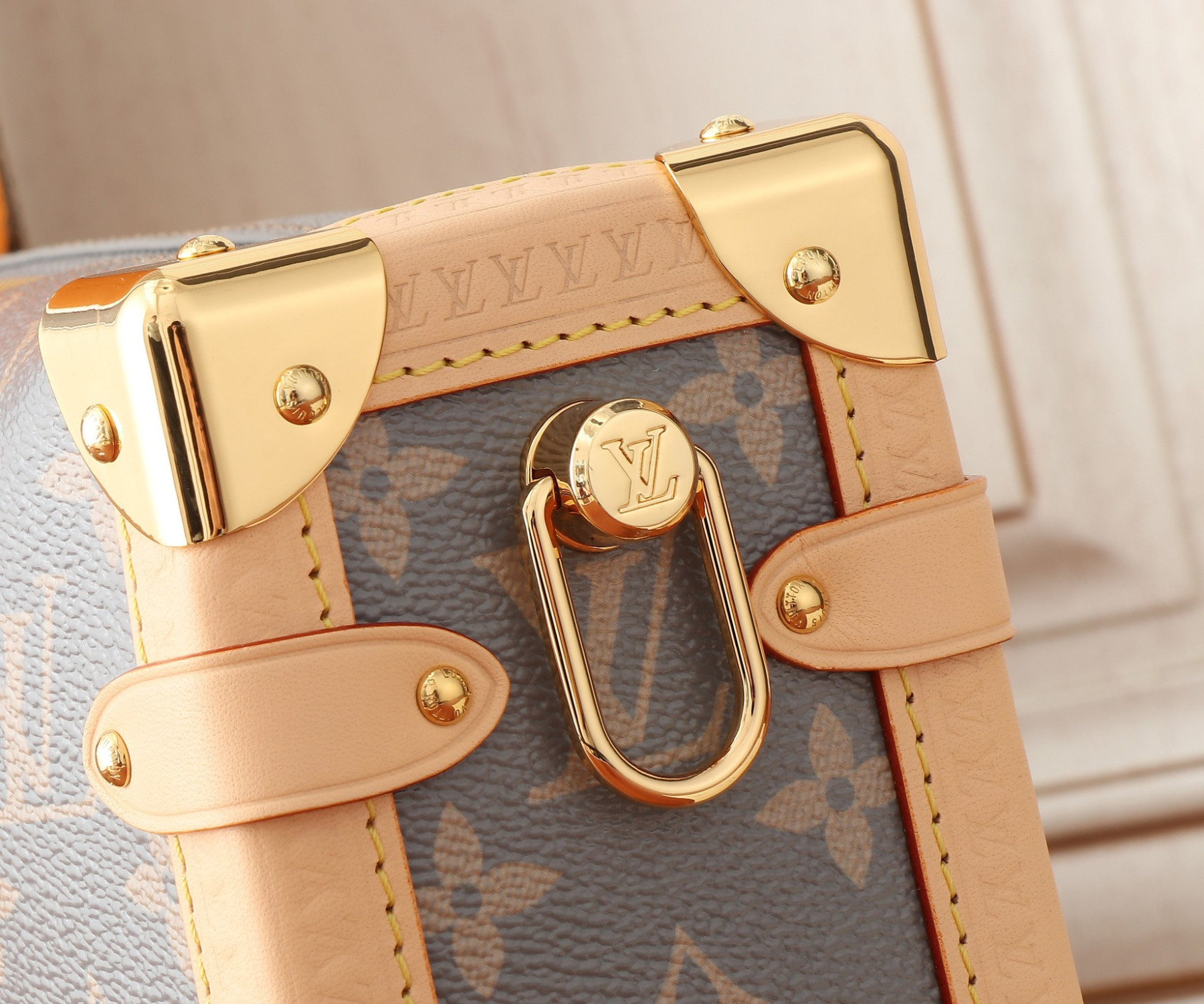LV Side Trunk M12428 21x14x6CM - Image 12